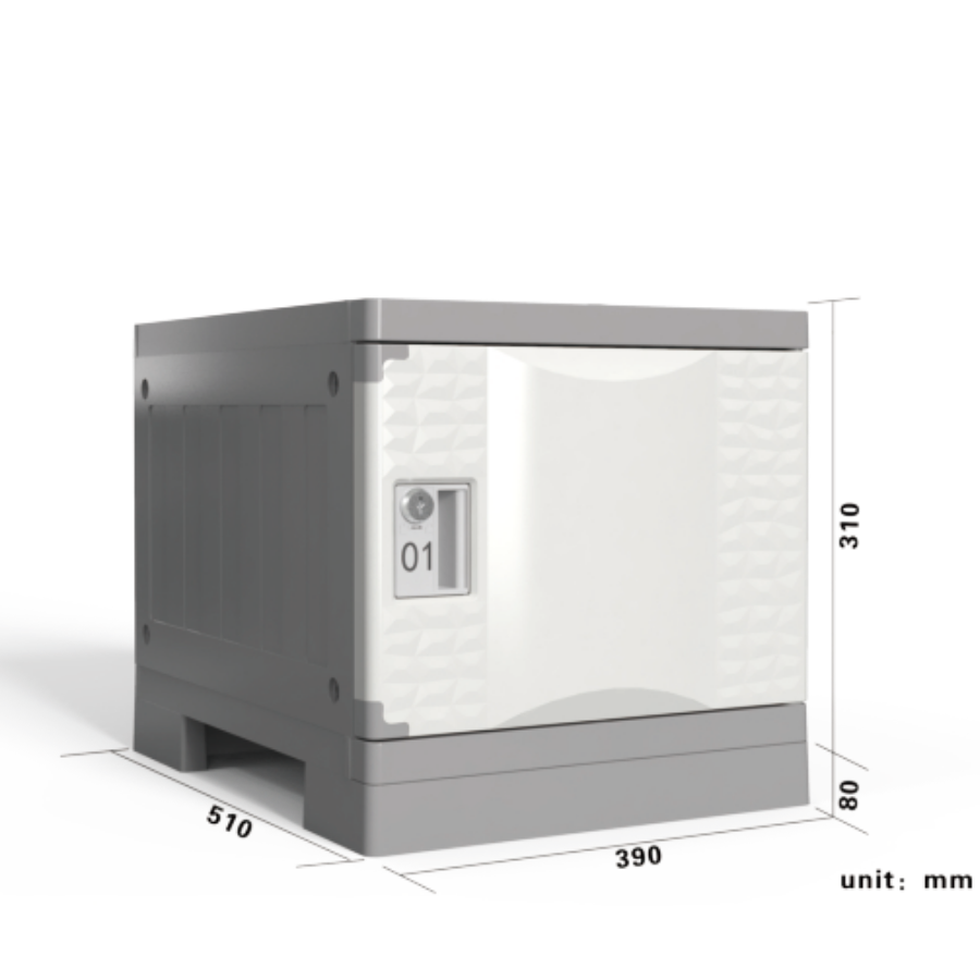 Locker scolar individual model 02